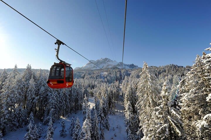 Mt. Pilatus Gondola and Aerial Cableway Ticket from Kriens