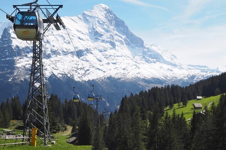 Interlaken & Grindelwald Private Day Tour