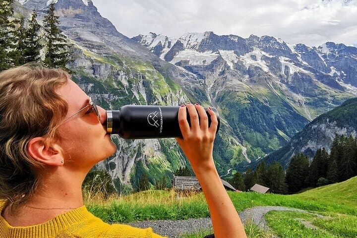 Private Day Tour to Lauterbrunnen Interlaken Murren from Lucerne