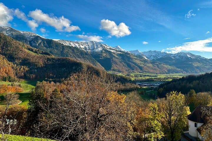 Gruyères, Cheese & Lavaux UNESCO Wine Private Tour | From Bern