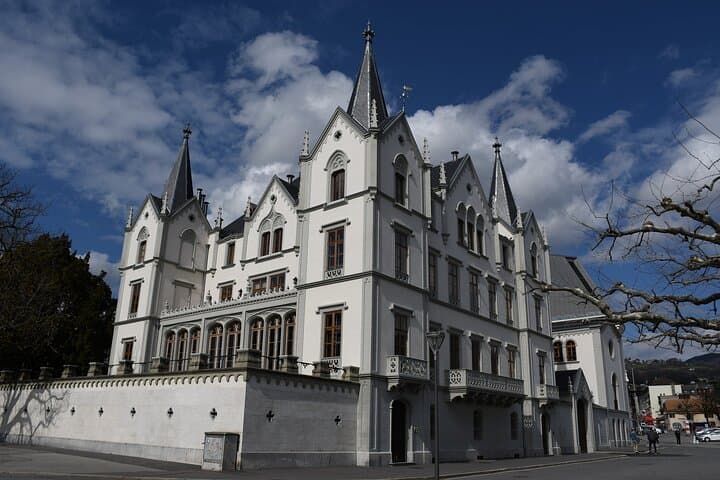 Historical Private Walking Tour of Vevey for Families