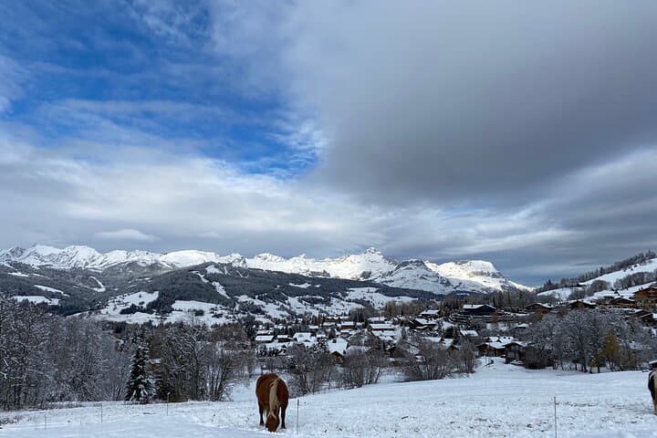 Luxury Private Concierge - Bespoke Megève Experience