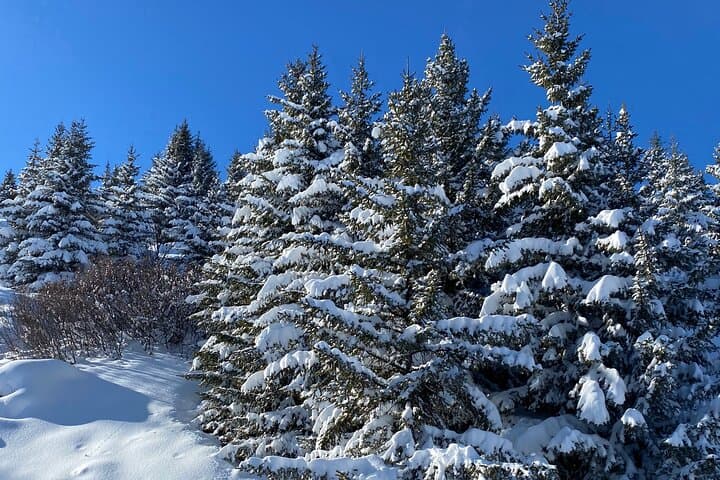 Luxury Private Concierge - Bespoke Courchevel Experience