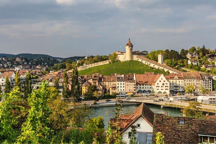 Lucerne: Private Car Tour to Rhine Falls, Titisee & Black Forest