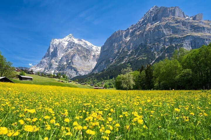 Alpine Majesty Tour From Zurich to Jungfraujoch