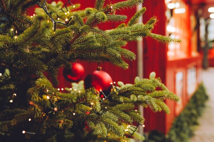 Vevey’s Private Holiday Charm: A Festive Lakeside Stroll