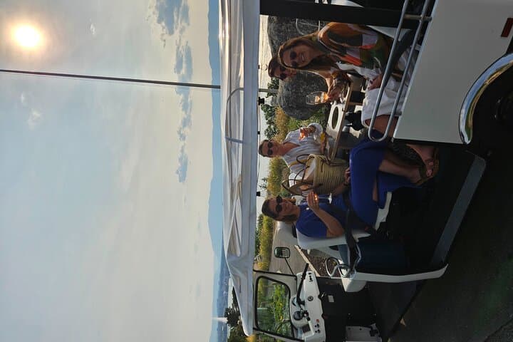 Immersion in the Geneva vineyards by tuktuk with tasting