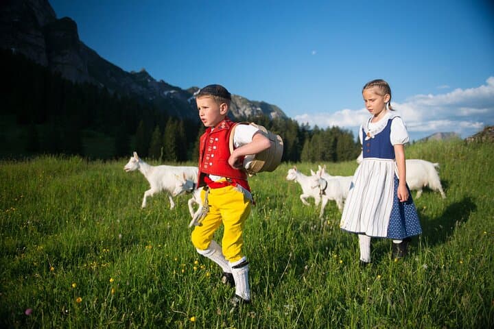 From Zurich: Chocolate, cheese & countryside small group tour