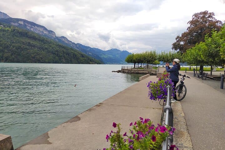 Panoramic E-Bike Tour with a Lake Cruise