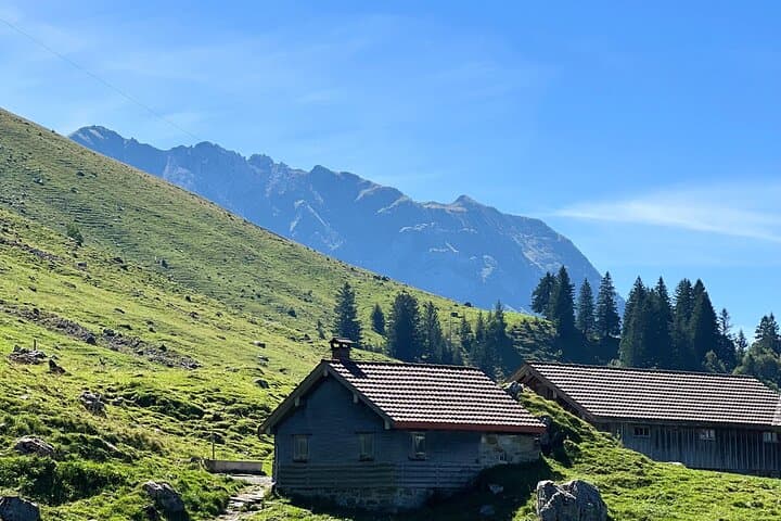 Grindelwald, Lauterbrunnen & Brienz from Zurich