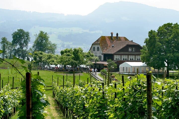Zurich to Rapperswil Roses & Ufnau Island: City to Lake Escape