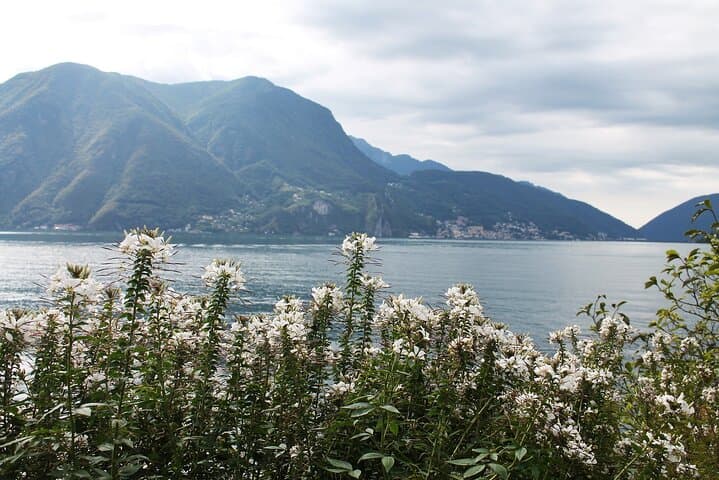 Explore Lugano: Renaissance Masterpieces & Lakeside Serenity