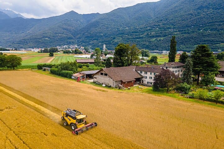 Organic malt production and beer tasting at the Piano di Magadino