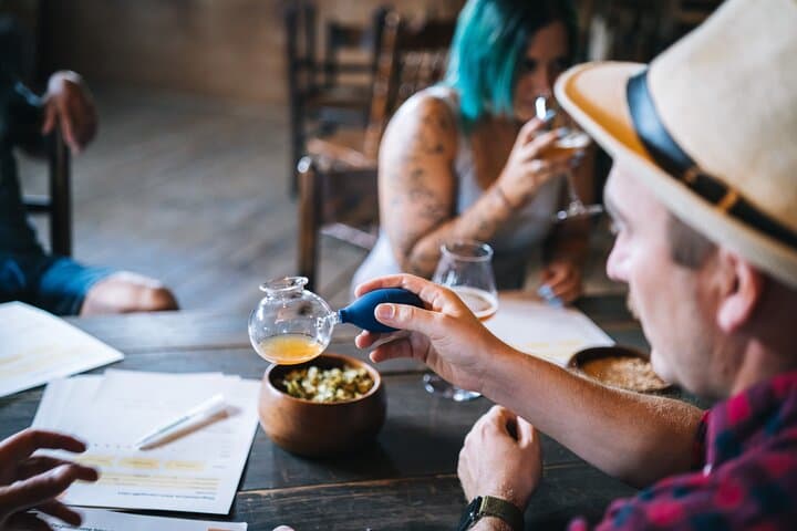 Organic malt production and beer tasting at the Piano di Magadino
