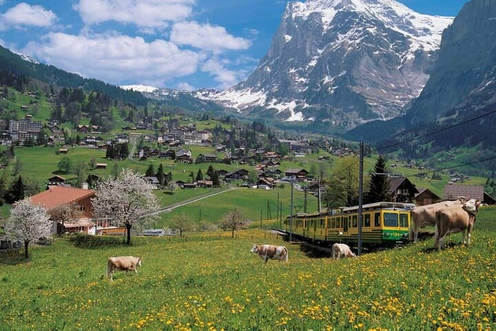 Grindelwald, Lauterbrunnen and Mürren Private Tour from Zurich