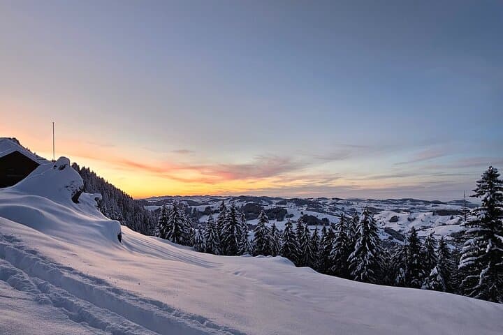 Private Tour to Zermatt from Zurich.