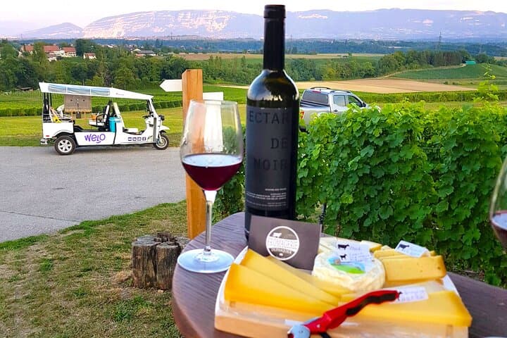 Geneva Panoramic & Tasting Vineyards Tour in an Tuk Tuk