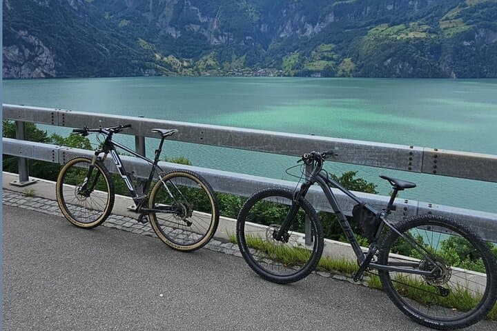 Scenic Bike Tour with a Lake Cruise Adventure