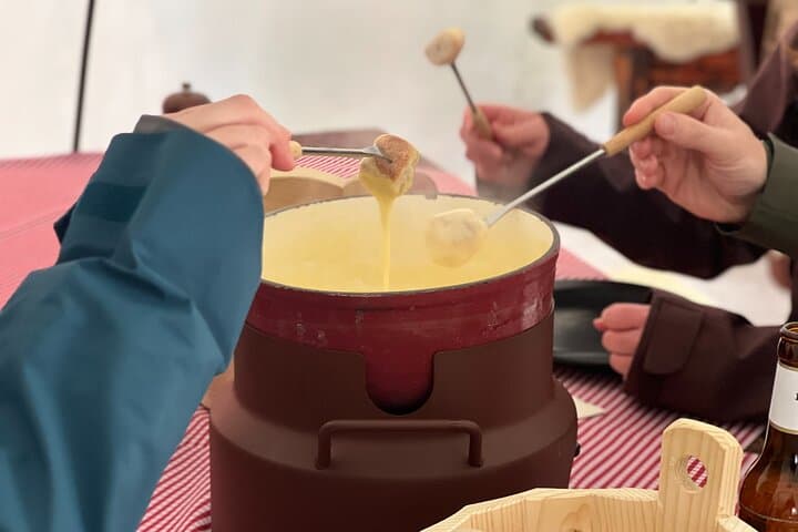 From Zurich: Mount Titlis Snow Day, Fondue in the igloo & Lucerne