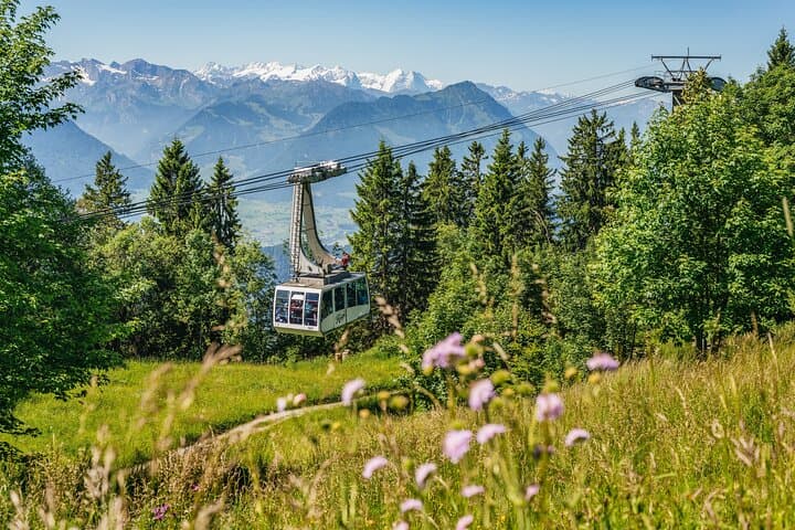 Zurich: Small group to Rigi Queen of Mountains and Lucerne Trip