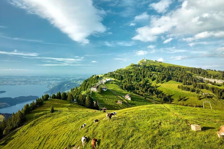 Zurich: Small group to Rigi Queen of Mountains and Lucerne Trip