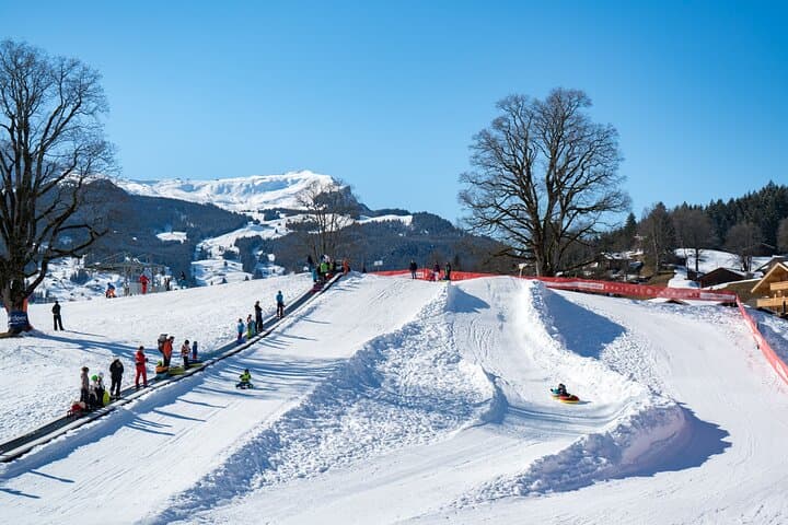 Bodmi Arena Sledding in Grindelwald