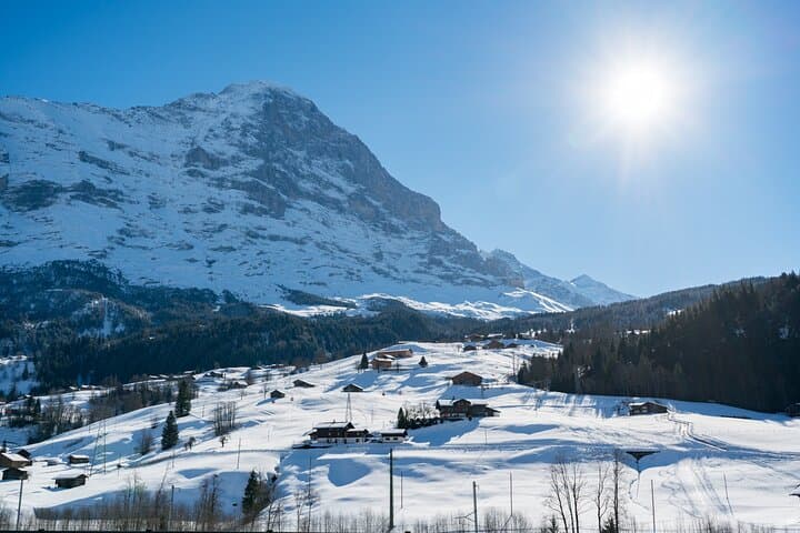 Bodmi Arena Sledding in Grindelwald