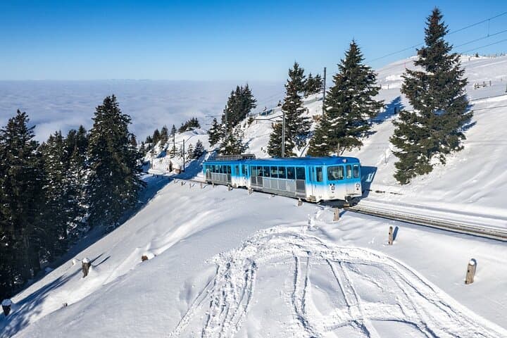 Private Lucerne and Lake Lucerne Cruise with Alpine Views
