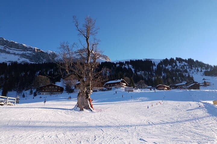 Ultra-Inclusive Half-day Ski Taster for Beginners
