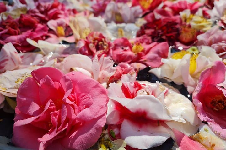 Zurich Easter Week Guided 2-Hour Walking Tour