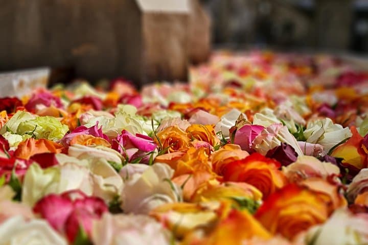 Zurich Easter Week Guided 2-Hour Walking Tour