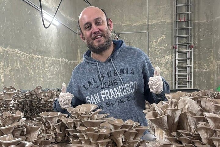 On our mushroom tour you will be in the middle of the mushrooms – surrounded by freshly growing oyster saplings & Co. Feel the unique climate of our mushroom plant, learn exciting insights about breeding and he