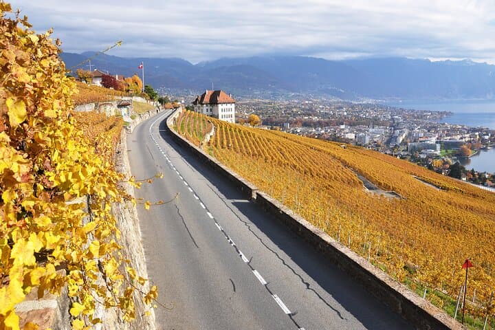 Cheese, Chocolate and Wine (Private Tour)