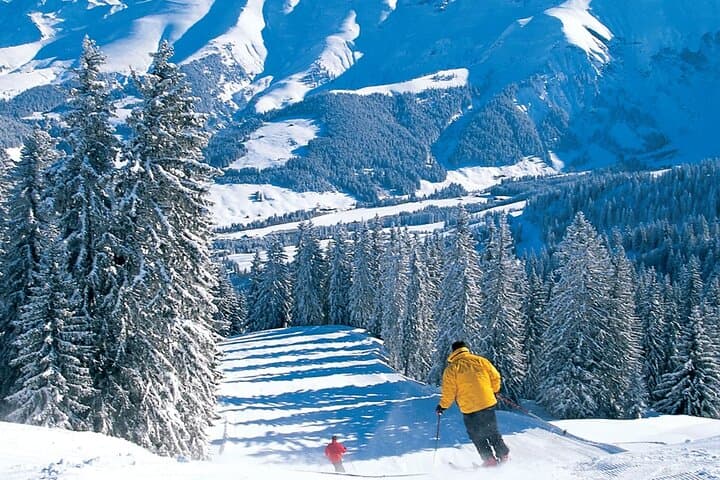 Zermatt (Tasch) to Megève one way Private Transfer