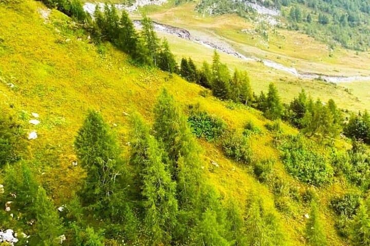 Private excursion from Geneva to Glacier 3000