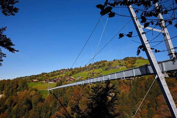Crash Landing on You - Switzerland Day Tour from Zurich
