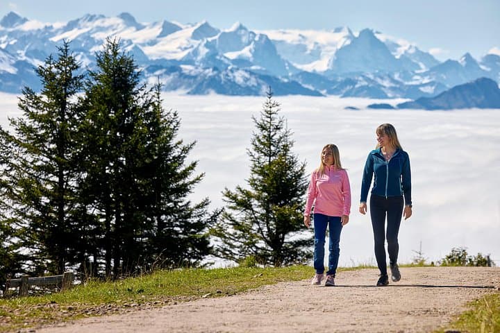 Mount Rigi Day Pass + Mountain Spa Day Admission