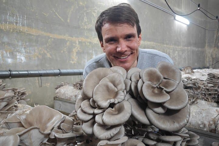 2 Beautiful oyster sideling precious mushrooms in the hands of Carsten