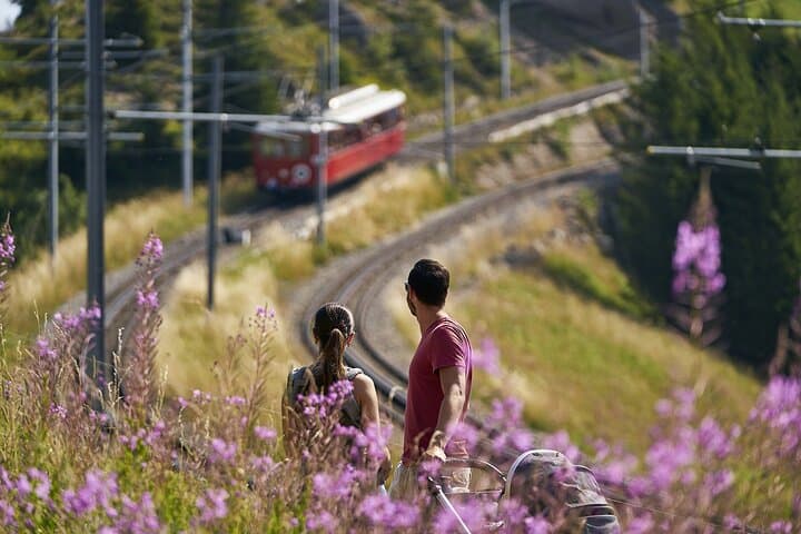 Self Guided Gold Tour to Rigi, Queen of Moutains from Lucerne