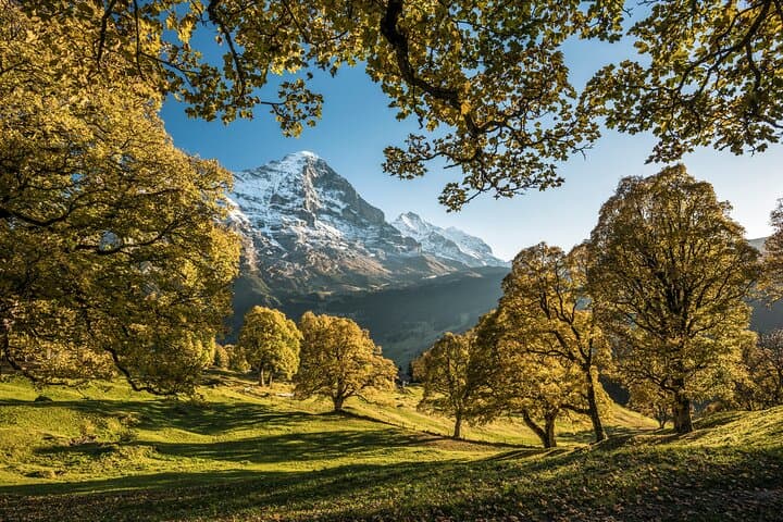 Zurich: Interlaken, Grindelwald & Lauterbrunnen Guided Day Trip