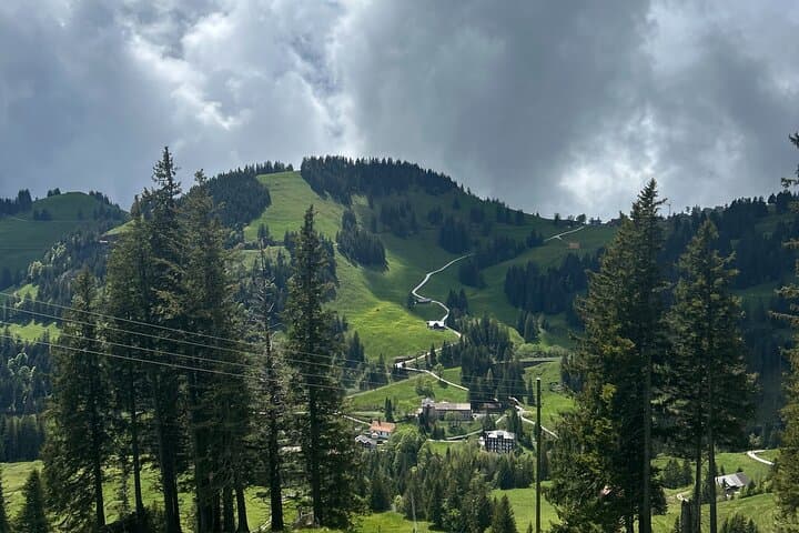 Beverly Hills of Lucerne Tour