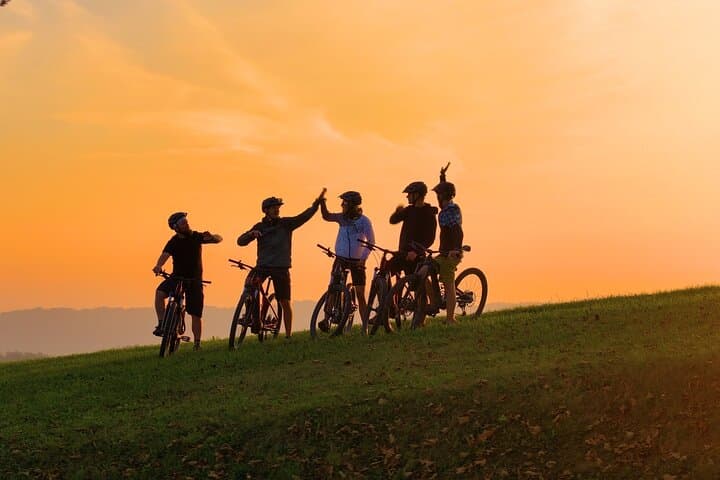 Discover Lake Thun Shared Bike Adventure