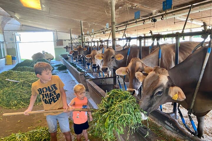 Feeding animals:)