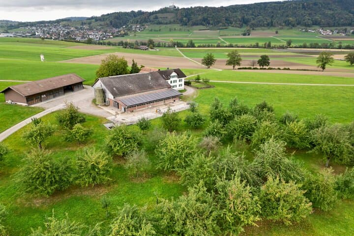 our farm