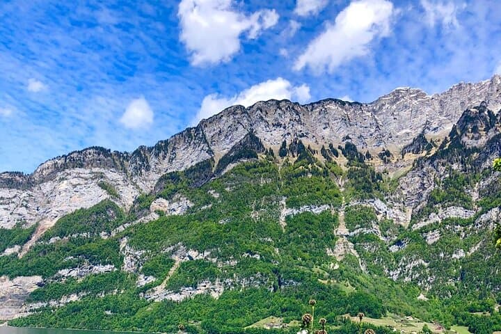 Private Lucerne Tour with Zurich Transportation