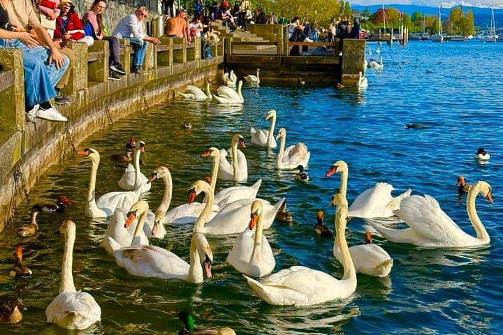 Zurich Adventure : Walking tour, Lake Cruise and Cable Car