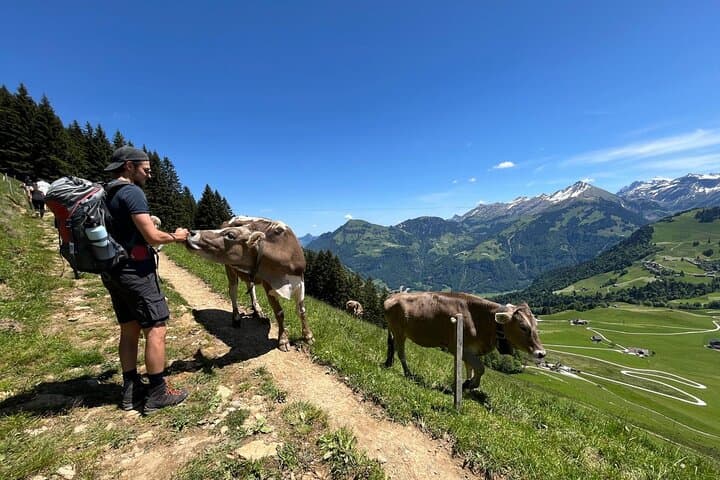 Individual hike in Swiss Alps with local mountaineers