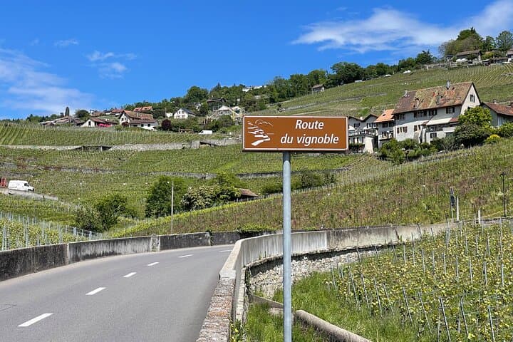 Vineyard route
