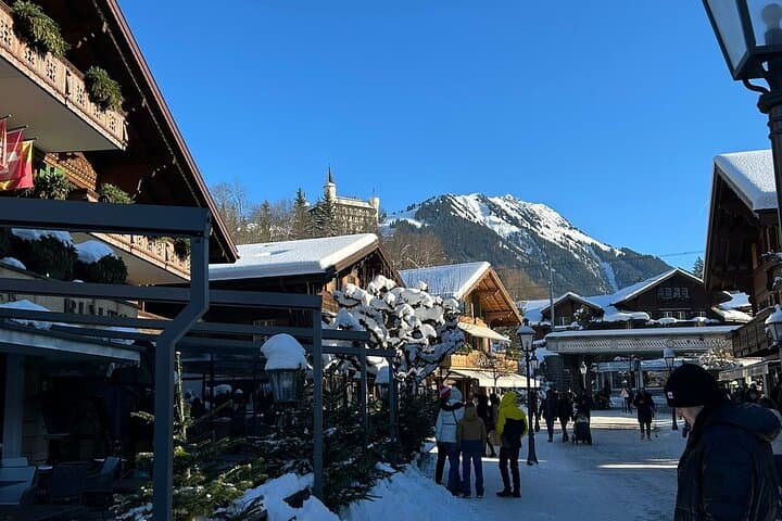 Basel to or from Gstaad Private Car Transport up to 4 persons