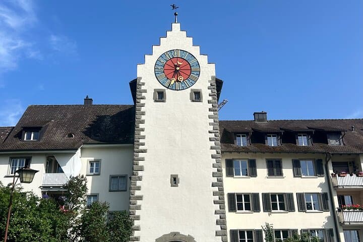 Rhine Falls and Stein am Rhein (Private Tour)